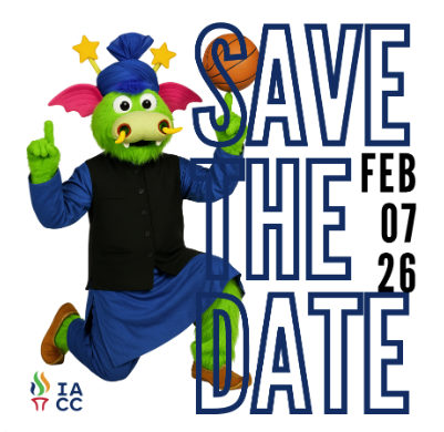 13th Annual India Day with the Orlando Magic - Hosted by Indian American Chamber of Commerce, Orlando